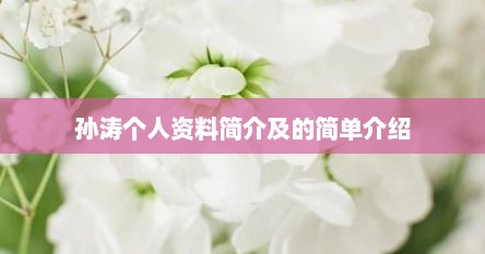 孙涛个人资料简介及的简单介绍