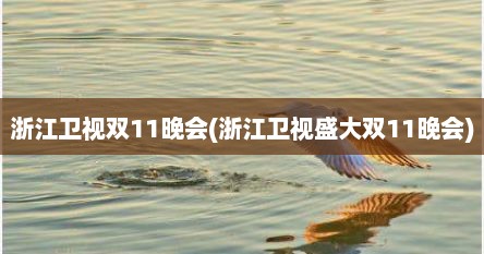 浙江卫视双11晚会(浙江卫视盛大双11晚会)