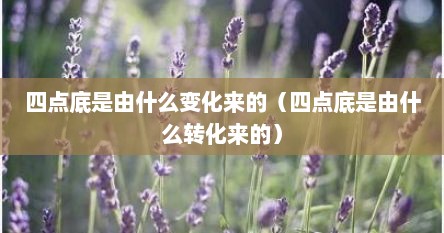 四点底是由什么变化来的（四点底是由什么转化来的）