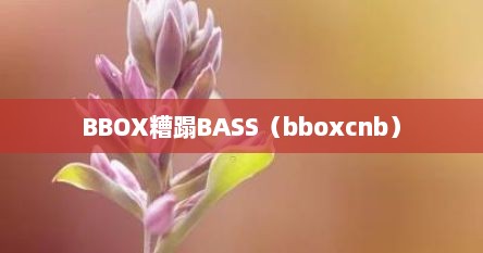 BBOX糟蹋BASS（bboxcnb）