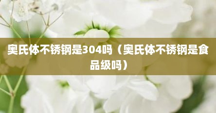 奥氏体不锈钢是304吗（奥氏体不锈钢是食品级吗）