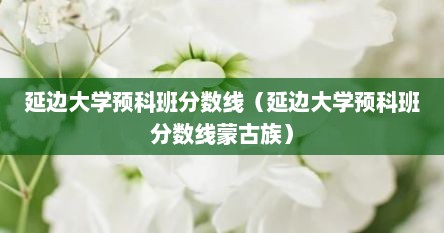 延边大学预科班分数线（延边大学预科班分数线蒙古族）