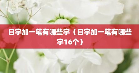 日字加一笔有哪些字（日字加一笔有哪些字16个）