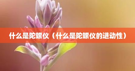 什么是陀螺仪（什么是陀螺仪的进动性）