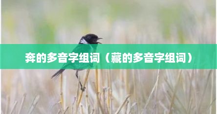 奔的多音字组词（藏的多音字组词）