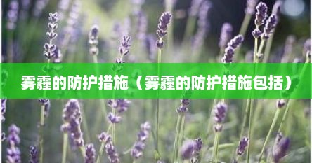 雾霾的防护措施（雾霾的防护措施包括）