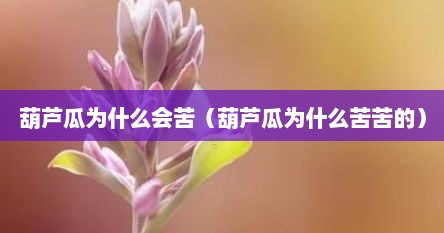 葫芦瓜为什么会苦（葫芦瓜为什么苦苦的）