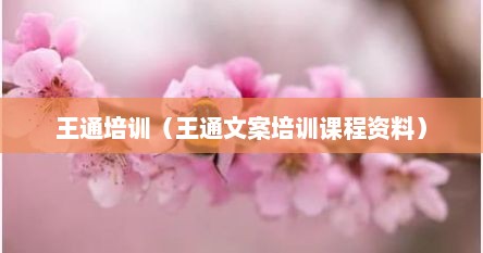 王通培训（王通文案培训课程资料）