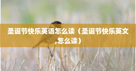 圣诞节快乐英语怎么读（圣诞节快乐英文,怎么读）