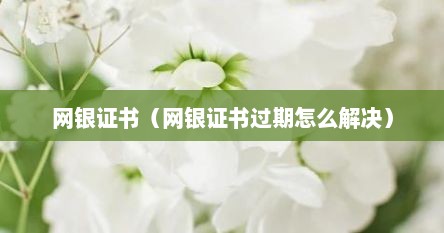 网银证书（网银证书过期怎么解决）