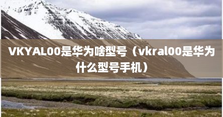 VKYAL00是华为啥型号（vkral00是华为什么型号手机）