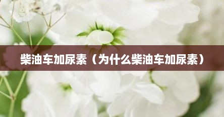 柴油车加尿素（为什么柴油车加尿素）