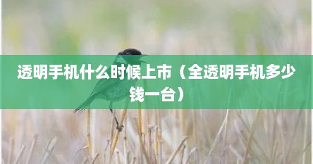 透明手机什么时候上市（全透明手机多少钱一台）