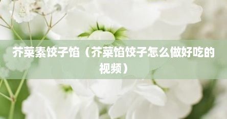 芥菜素饺子馅（芥菜馅饺子怎么做好吃的视频）