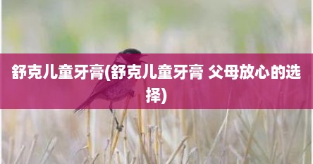 舒克儿童牙膏(舒克儿童牙膏 父母放心的选择)