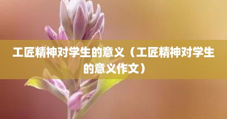 工匠精神对学生的意义（工匠精神对学生的意义作文）