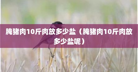 腌猪肉10斤肉放多少盐（腌猪肉10斤肉放多少盐呢）