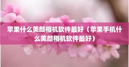 苹果什么美颜相机软件最好（苹果手机什么美颜相机软件最好）