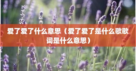 爱了爱了什么意思（爱了爱了是什么歌歌词是什么意思）