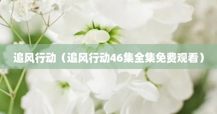 追风行动（追风行动46集全集免费观看）