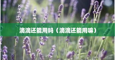 滴滴还能用吗（滴滴还能用嘛）