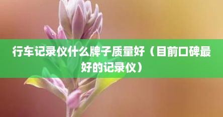 行车记录仪什么牌子质量好（目前口碑最好的记录仪）