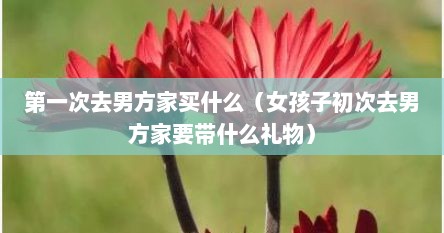 第一次去男方家买什么（女孩子初次去男方家要带什么礼物）