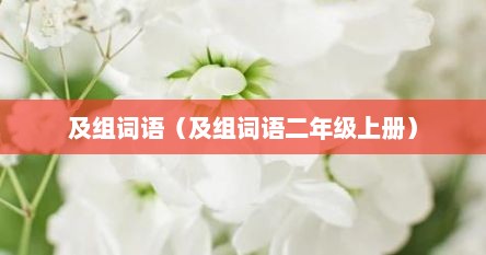 及组词语（及组词语二年级上册）