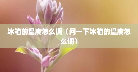 冰箱的温度怎么调（问一下冰箱的温度怎么调）