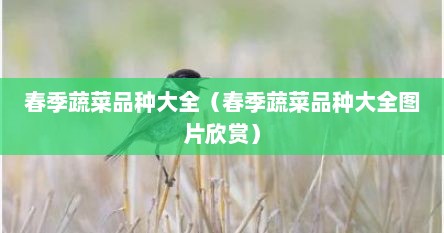 春季蔬菜品种大全（春季蔬菜品种大全图片欣赏）