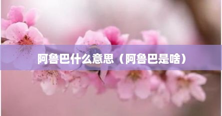 阿鲁巴什么意思（阿鲁巴是啥）