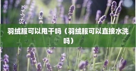 羽绒服可以甩干吗（羽绒服可以直接水洗吗）