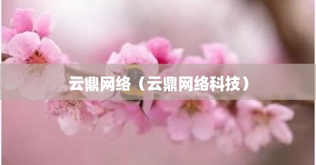 云鼎网络（云鼎网络科技）