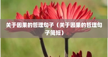 关于因果的哲理句子（关于因果的哲理句子简短）