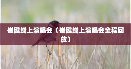 崔健线上演唱会（崔健线上演唱会全程回放）