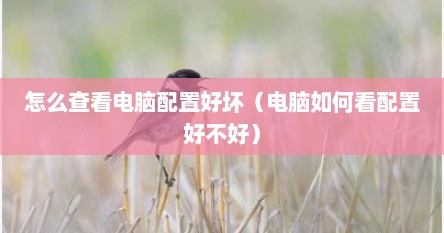 怎么查看电脑配置好坏（电脑如何看配置好不好）