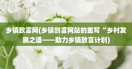 乡镇致富网(乡镇创富网站的重写“乡村发展之道——助力乡镇致富计划)