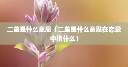 二垒是什么意思（二垒是什么意思在恋爱中指什么）