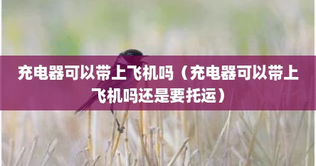 充电器可以带上飞机吗（充电器可以带上飞机吗还是要托运）