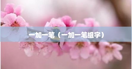 一加一笔（一加一笔组字）