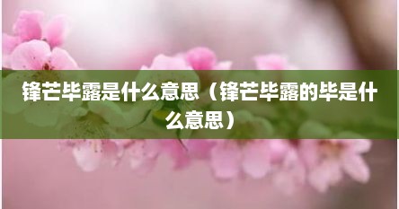 锋芒毕露是什么意思（锋芒毕露的毕是什么意思）