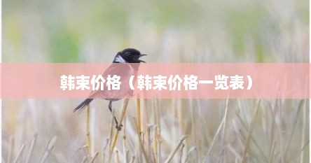 韩束价格（韩束价格一览表）