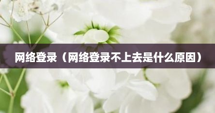 网络登录（网络登录不上去是什么原因）