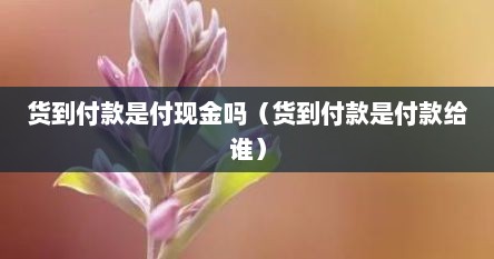 货到付款是付现金吗（货到付款是付款给谁）