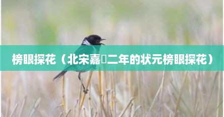 榜眼探花（北宋嘉祐二年的状元榜眼探花）