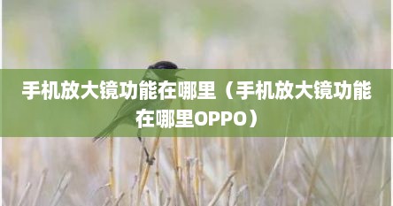 手机放大镜功能在哪里（手机放大镜功能在哪里OPPO）