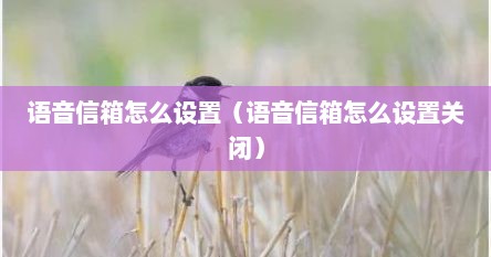 语音信箱怎么设置（语音信箱怎么设置关闭）