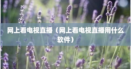 网上看电视直播（网上看电视直播用什么软件）