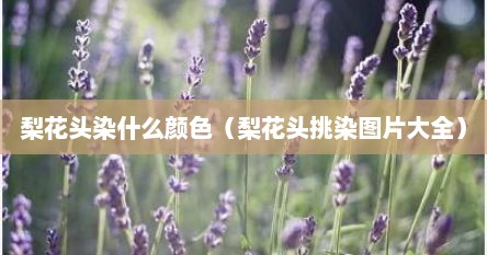 梨花头染什么颜色（梨花头挑染图片大全）