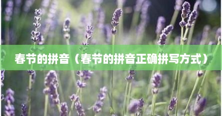 春节的拼音（春节的拼音正确拼写方式）